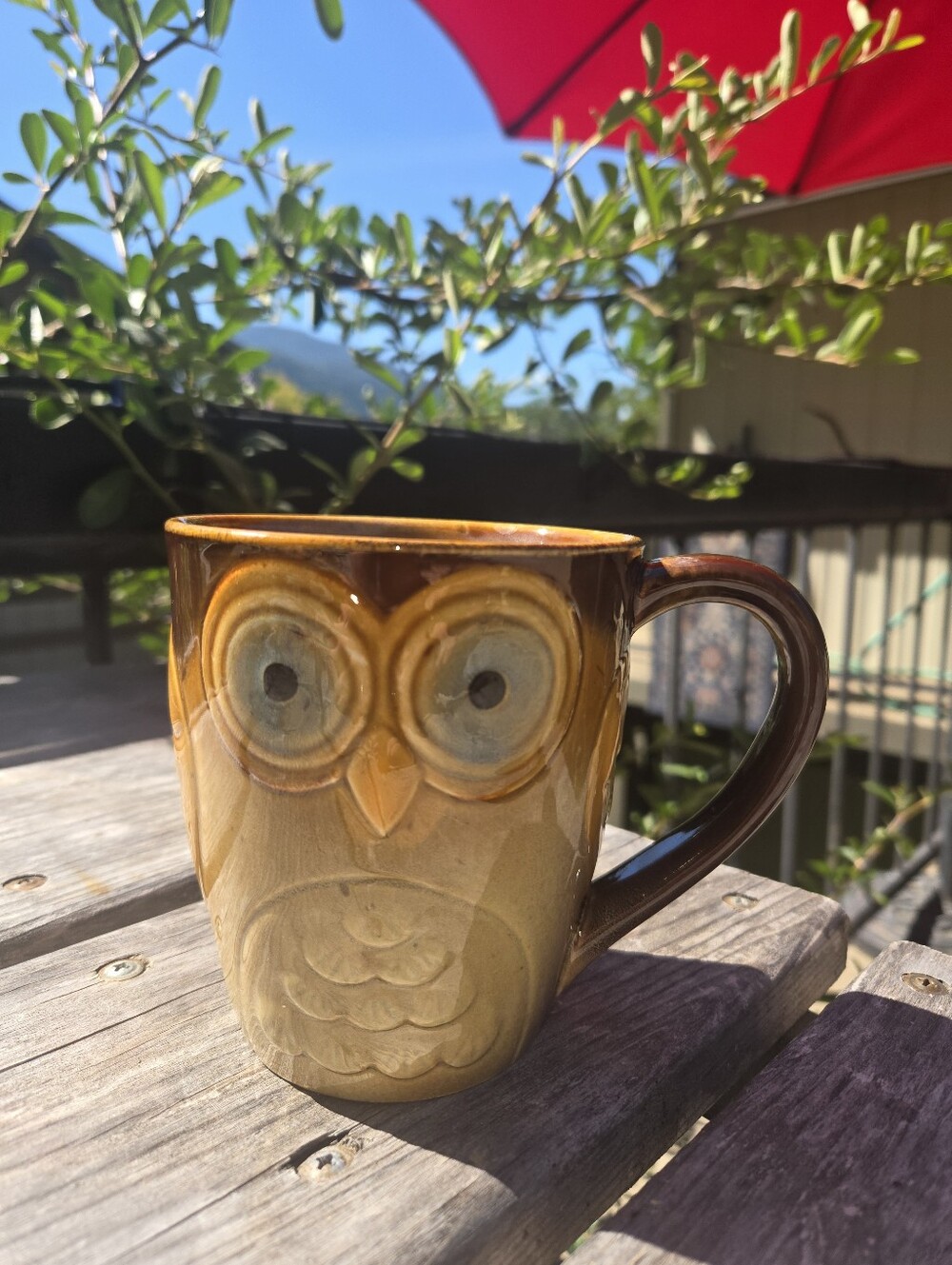 Gibson Home Owl Ceramic Mug